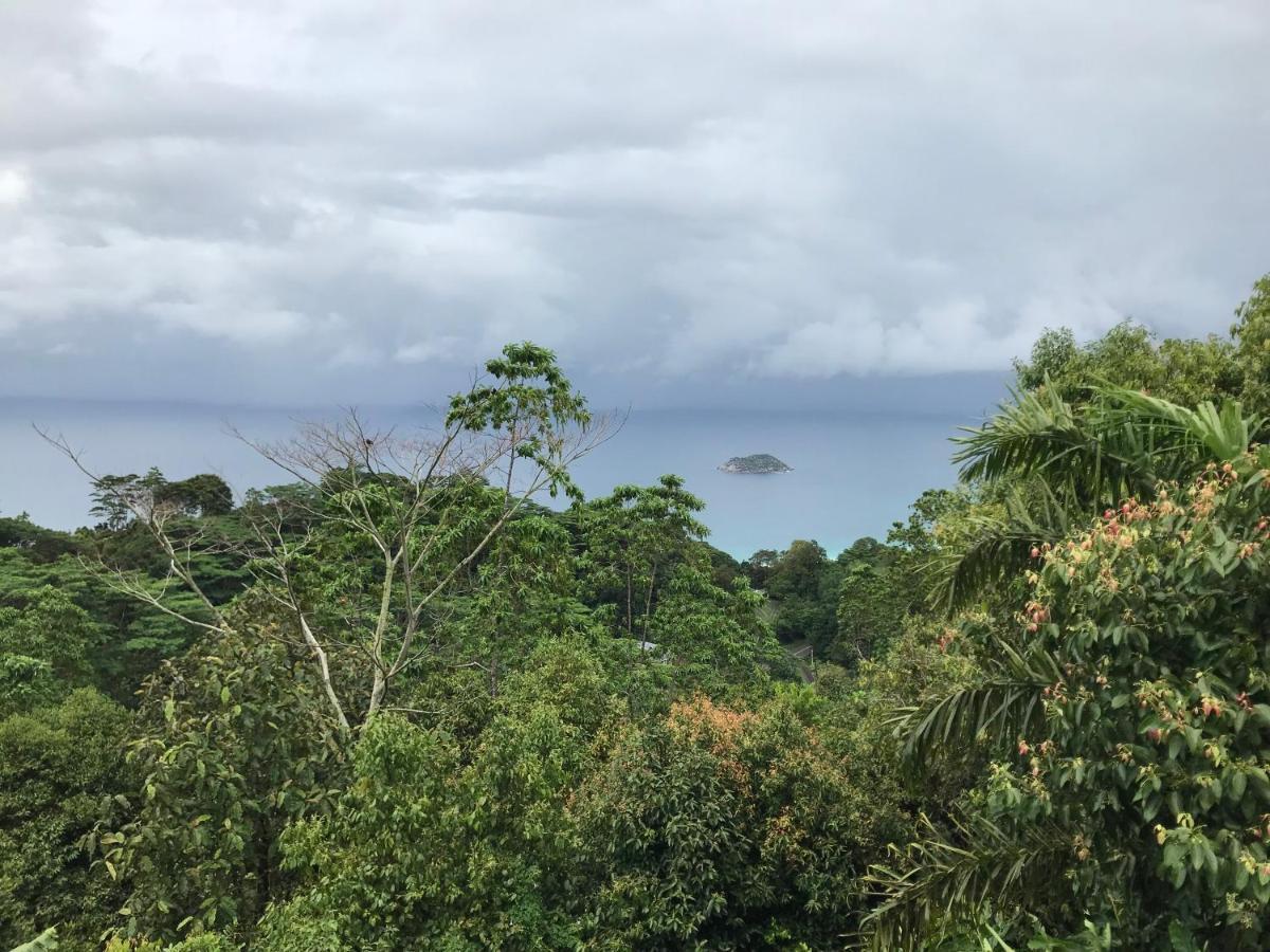 Tropical Garden Self Catering Villa Victoria Bagian luar foto