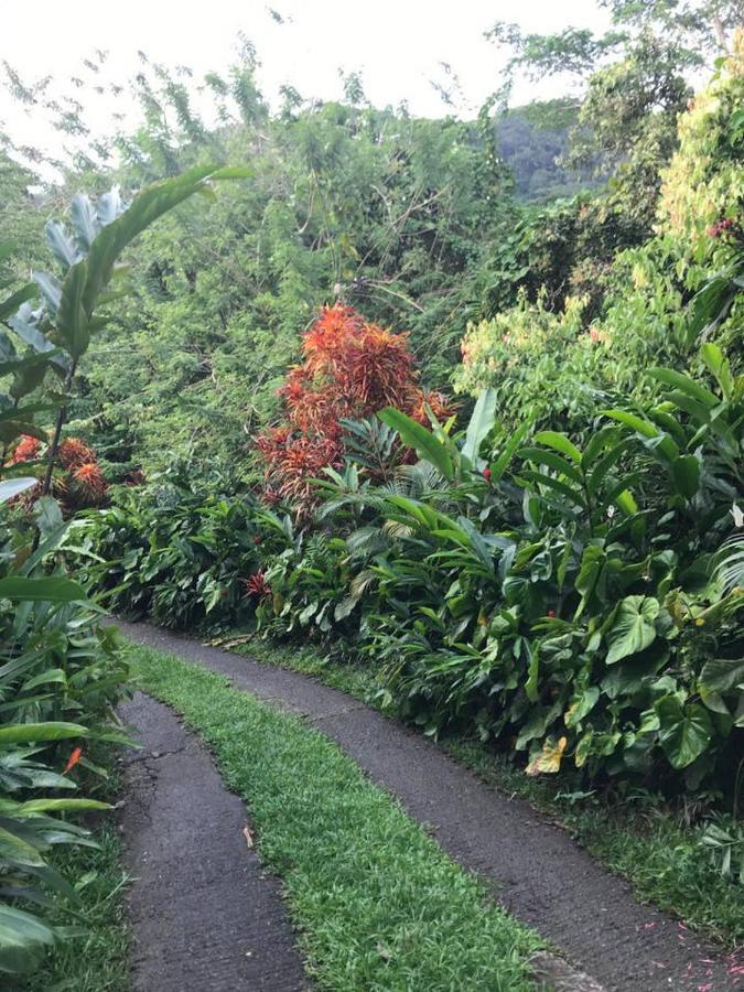Tropical Garden Self Catering Villa Victoria Bagian luar foto