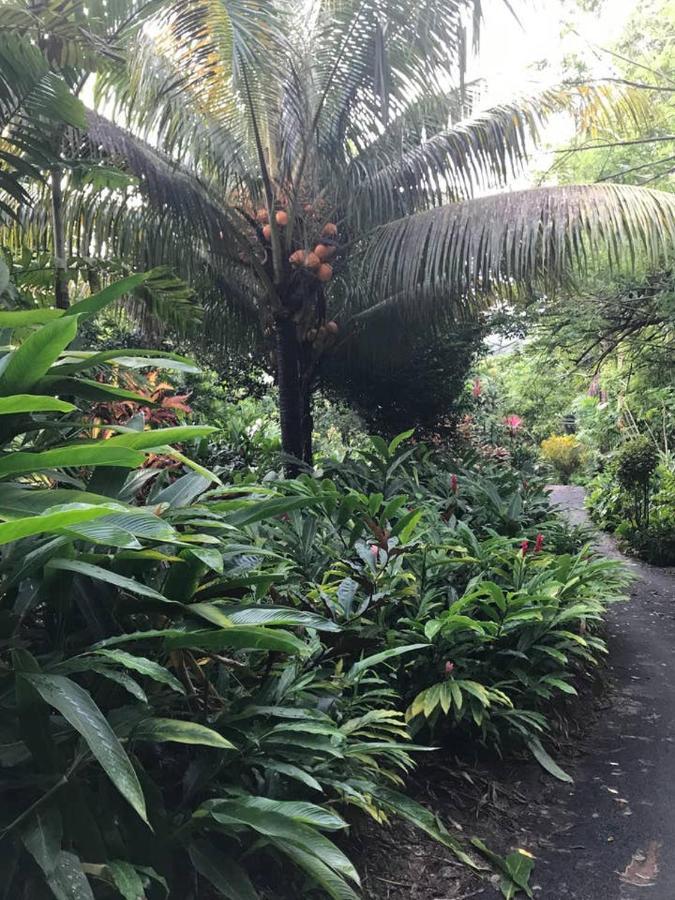 Tropical Garden Self Catering Villa Victoria Bagian luar foto